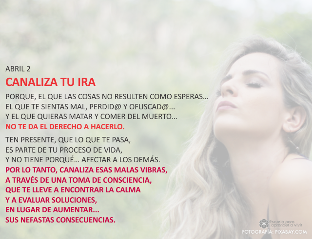 Canaliza tu ira